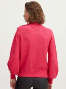 Fransa Strik Frelin 20611480 - Rasperry 1